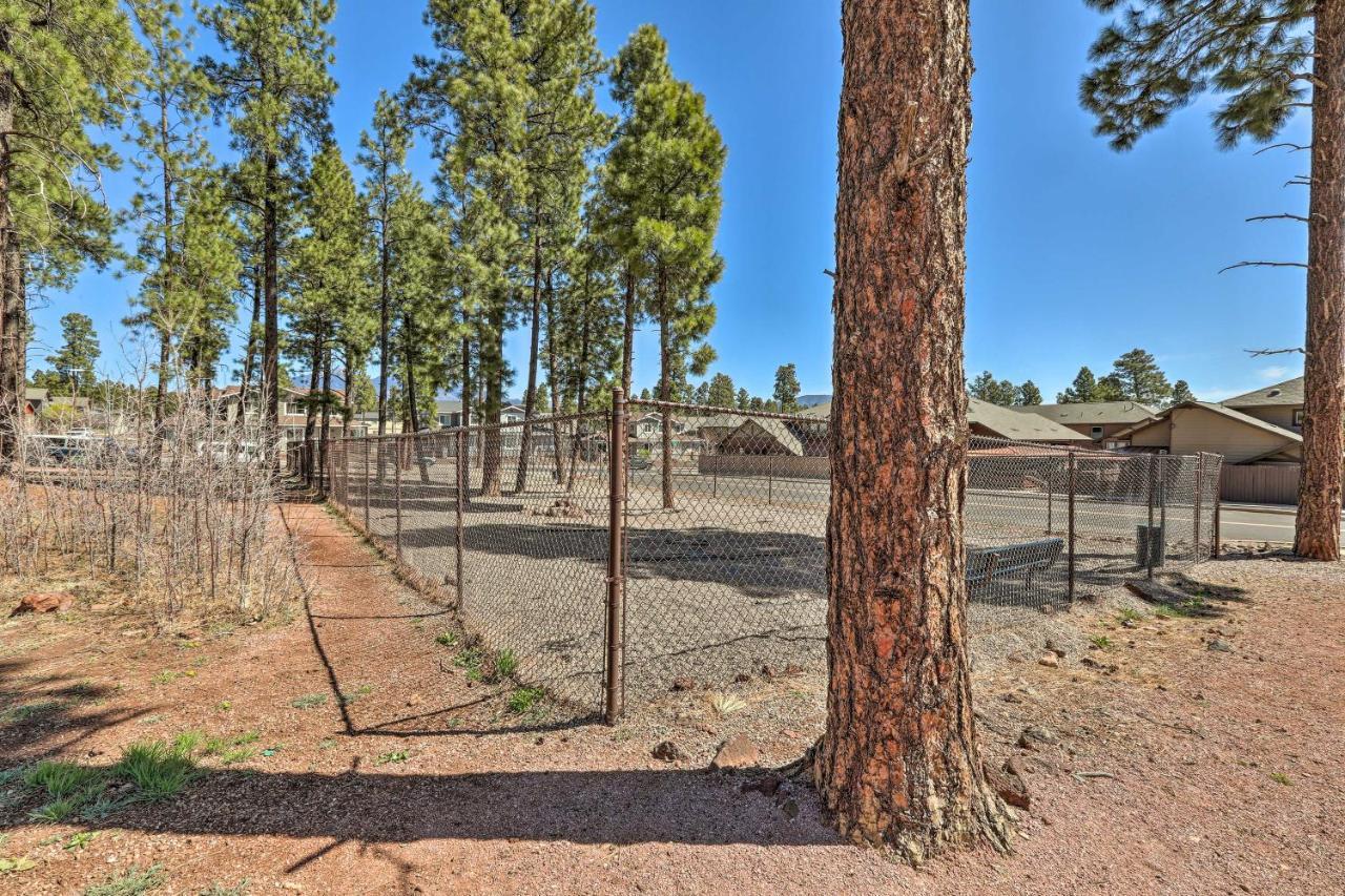 Modern Flagstaff Home, 4 Mi To Downtown! Exteriér fotografie